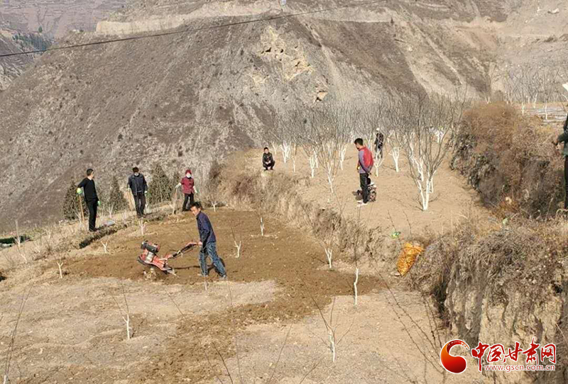 隴南武都區：“主題黨日”活動接地氣 “黨員服務隊”田間地頭助春耕（圖）