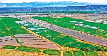 【決戰決勝脫貧攻堅】繪就千里沃野新圖景——甘肅省加快推進高標準農田建設走筆