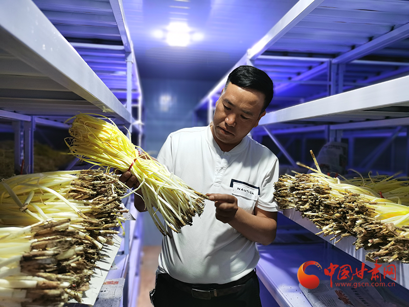 甘肅民勤：以科技創新引領智慧農業