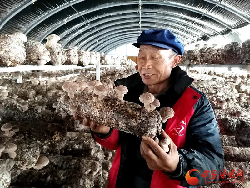 秋分“拍了拍”豐收節  甘肅渭源農民唱響豐收之歌（組圖）