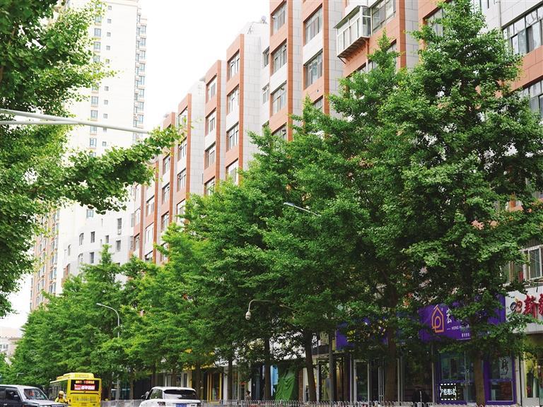 老得優雅 舊得有味 住著舒服——實地探訪蘭州老舊小區改造情況
