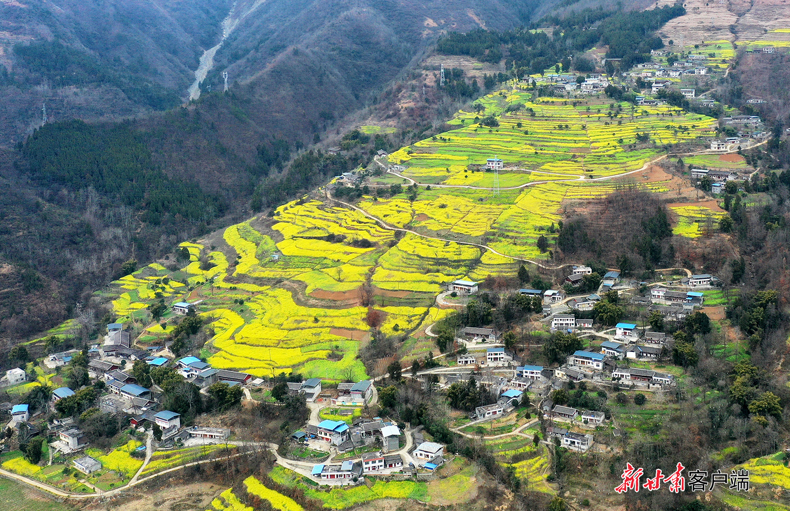 DJI_0899