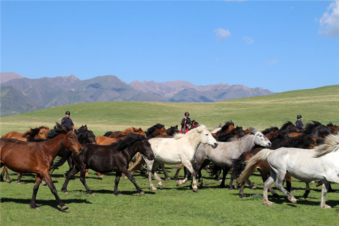 1656030062715860.jpg 3.jpg