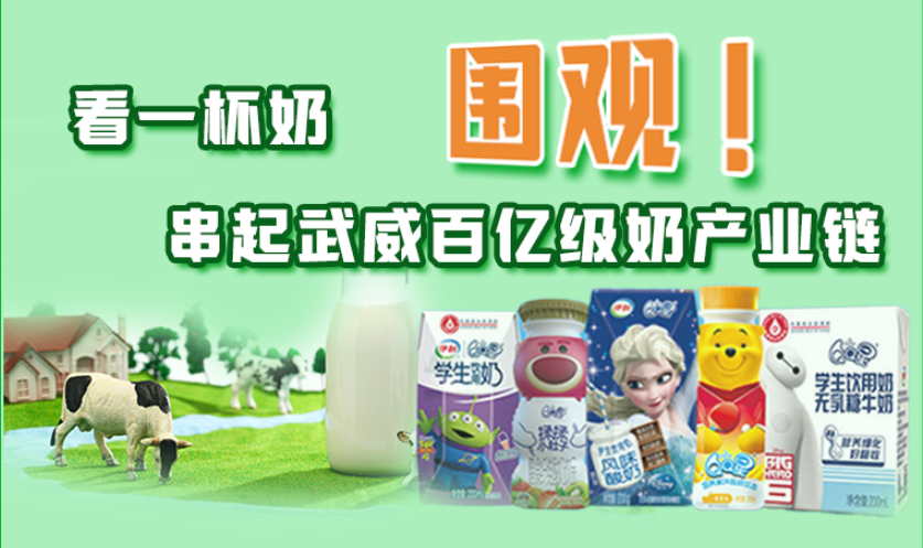 圖解|圍觀！看一杯奶串起武威百億級奶產業鏈