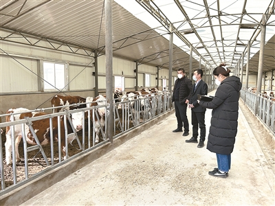 1670975467296875.jpg 2.jpg