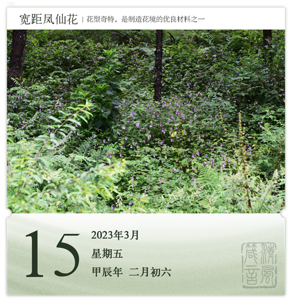 1710384866222528.png 箴歷日歷3-15.png