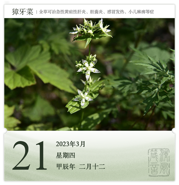 1710386533750017.png 箴歷日歷3-21.png