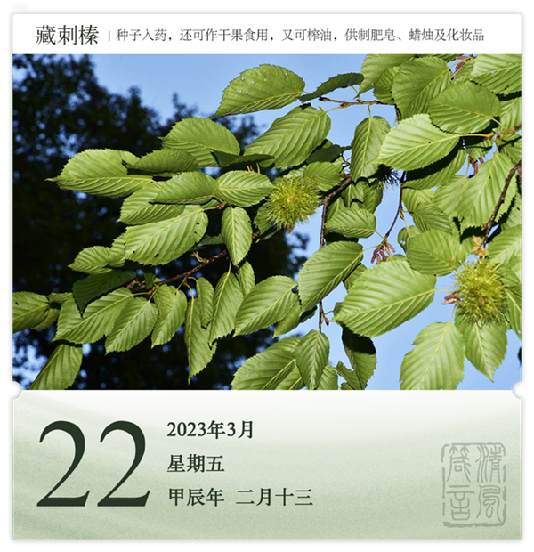 1710386623391244.png 箴歷日歷3-22.png