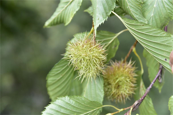 1710386671795826.jpg 22-2.jpg