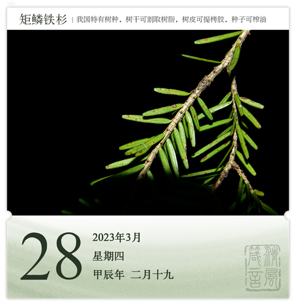 1710387239361904.png 箴歷日歷3-28.png