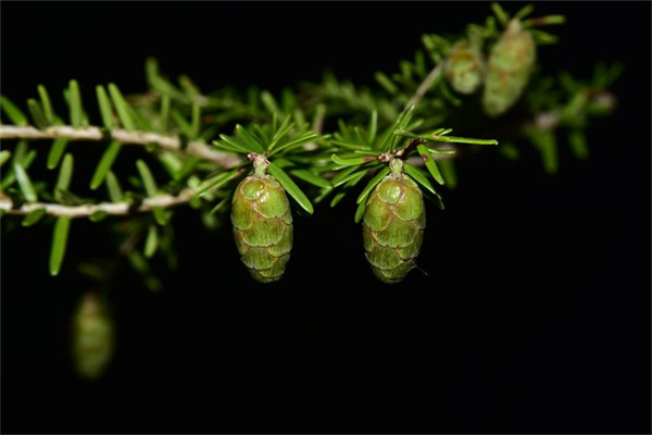 1710387225315752.jpg 28-2.jpg