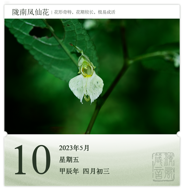 1714275252948069.png 箴歷日歷5-10.png