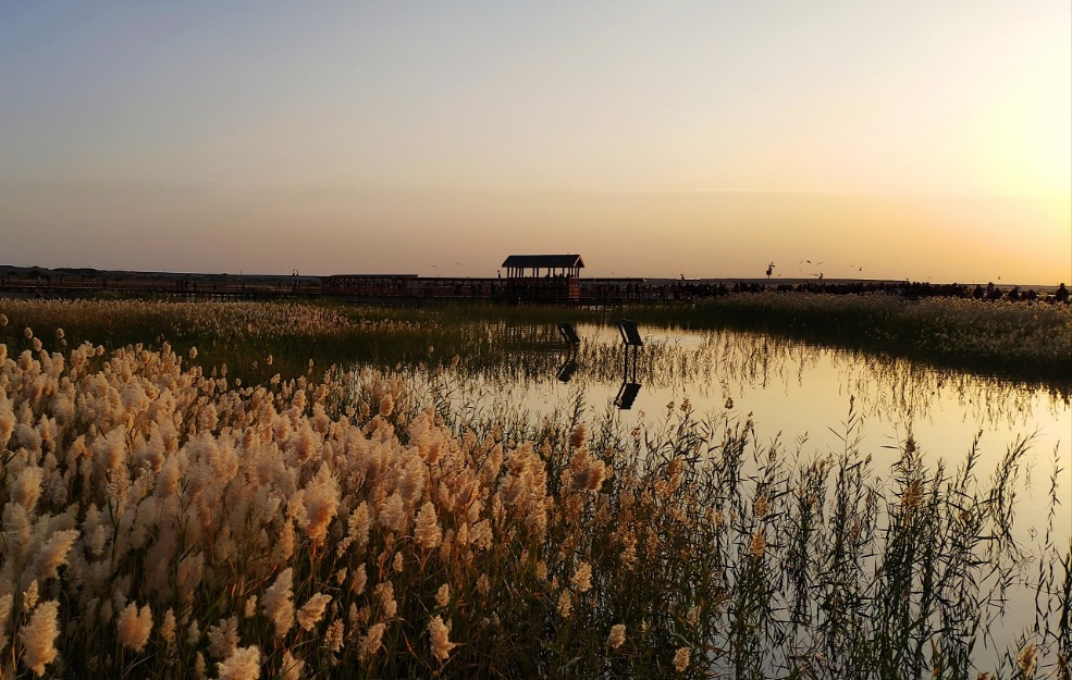 今居延海日出美景(圖源:網絡)