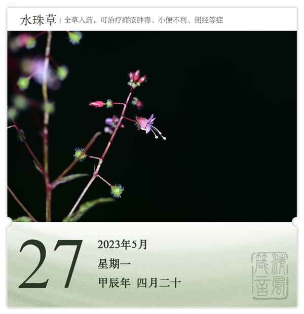 1714286431195717.png 箴歷日歷5-27.png