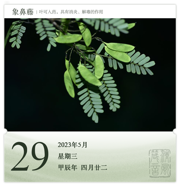 1714286572730448.png 箴歷日歷5-29.png