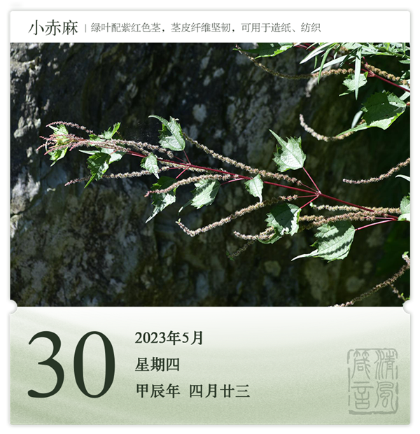 1714286632270809.png 箴歷日歷5-30.png