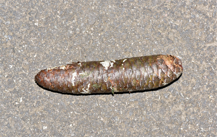 1730187488924290.png 4-2.png