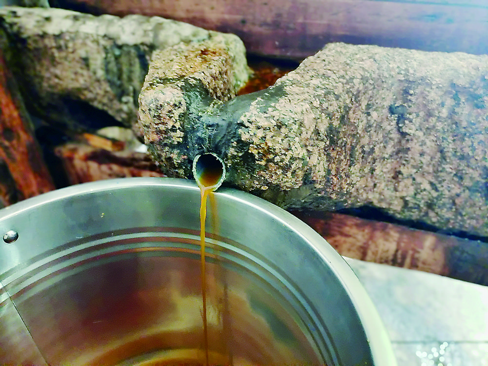 河州黃酒 傳承的釀造技藝密碼