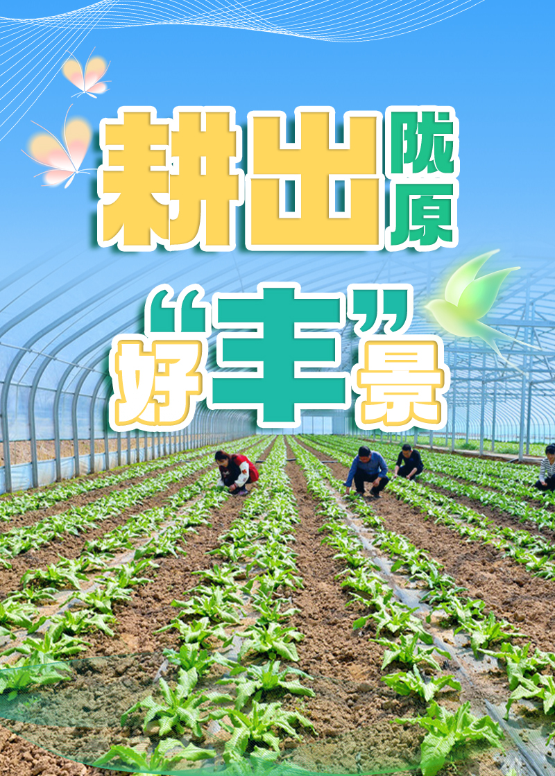 【專題】 耕出隴原好 “豐” 景 