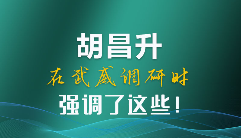圖解|胡昌升在武威調研時強調了這些！