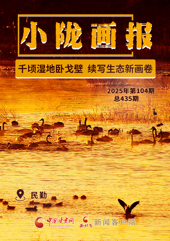 【小隴畫報·435期】民勤:千頃濕地臥戈壁 續(xù)寫生態(tài)新畫卷